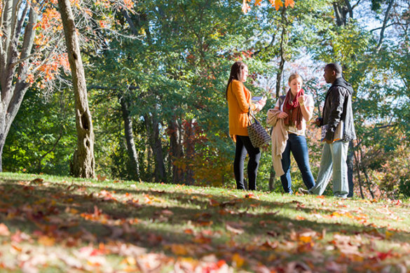 Month in Review: November 2016 at SJC Long Island