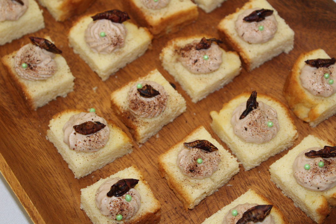 Yoon's pound cake topped with chocolate mousse and chapulines.