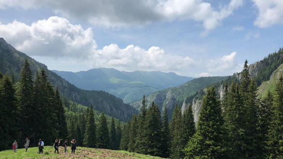 Romania, summer 2018.