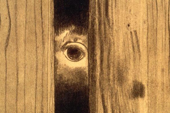 Eye peaking through wood floor.