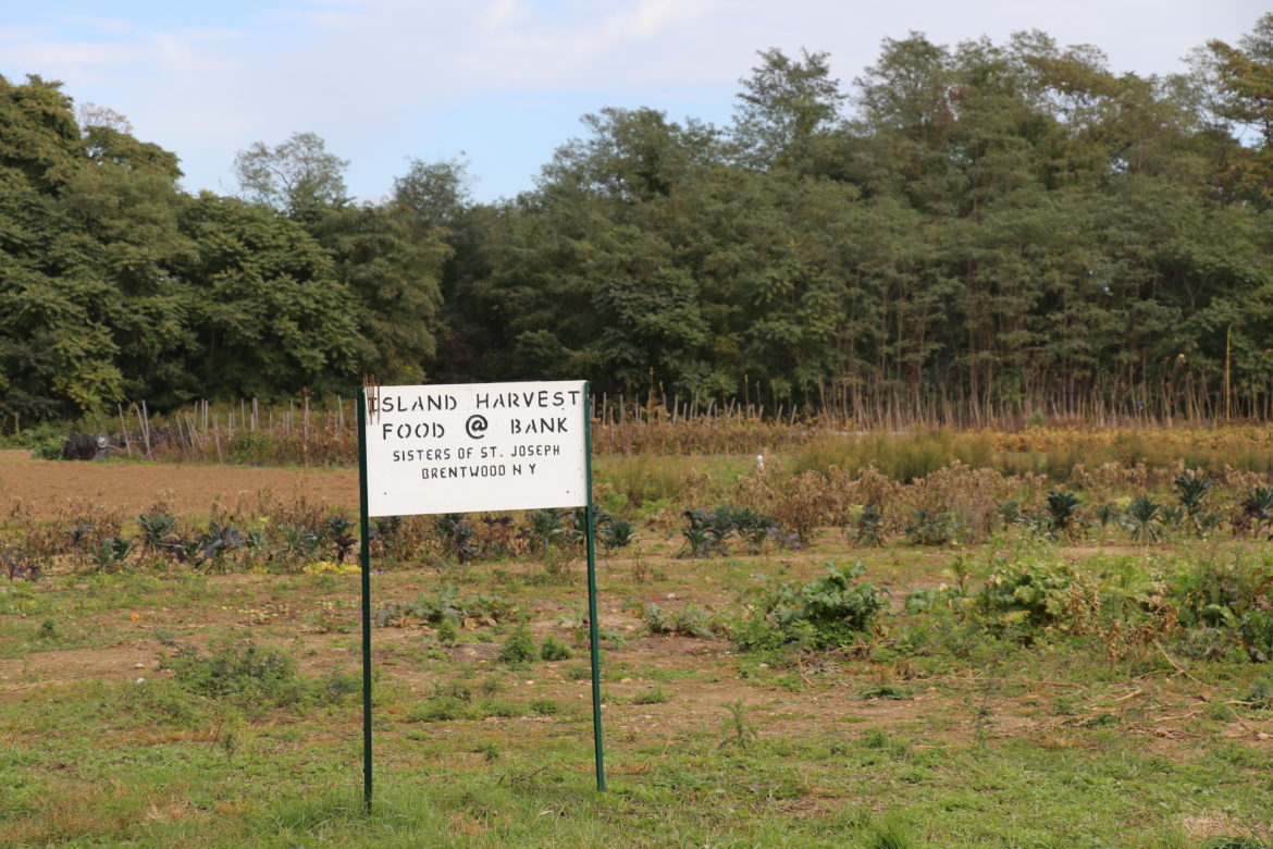 Farmland on the grounds of the Sisters of St. Joseph in Brentwood.