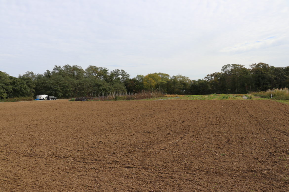 Farmland on the grounds of the Sisters of St. Joseph in Brentwood.