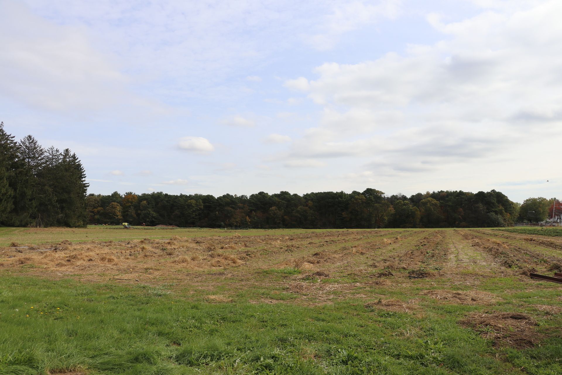 Farm land at the Sisters of St. Joseph grounds in Brentwood.