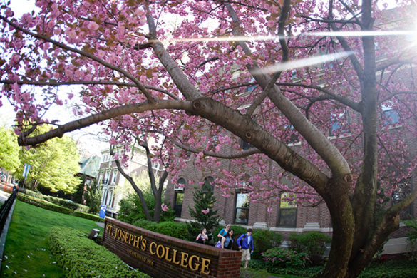 Brooklyn campus in the spring.