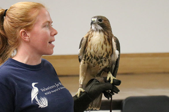 Celebrating the Environment