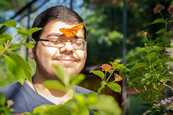A Summer at Sweetbriar