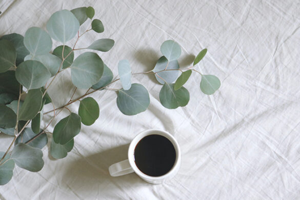 Relax with a cup of tea or coffee and some fresh plants.
