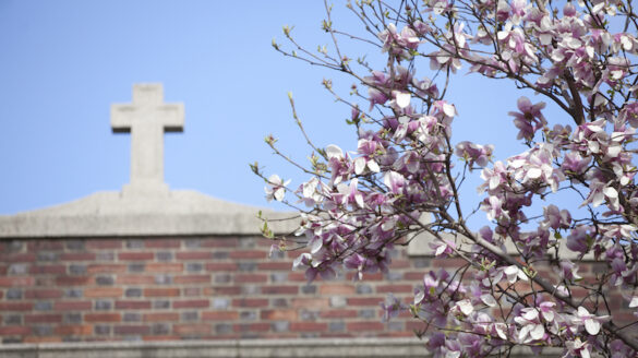 Sisters of St. Joseph