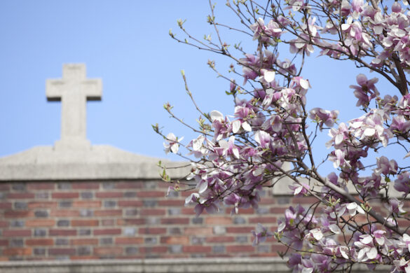 Sisters of St. Joseph