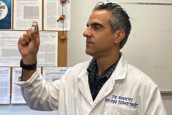 Studying Microplastics in Long Island Waters