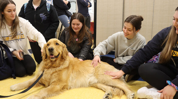 "Paws to De-Stress" for finals event.