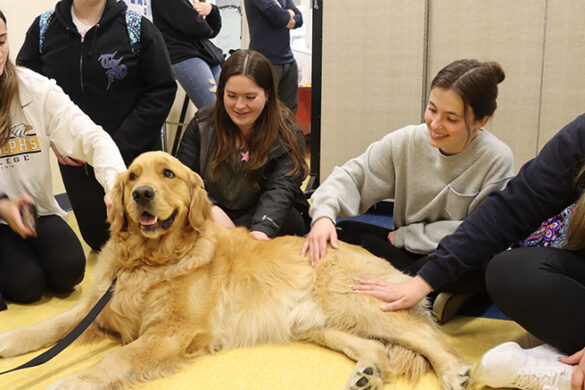 "Paws to De-Stress" for finals event.