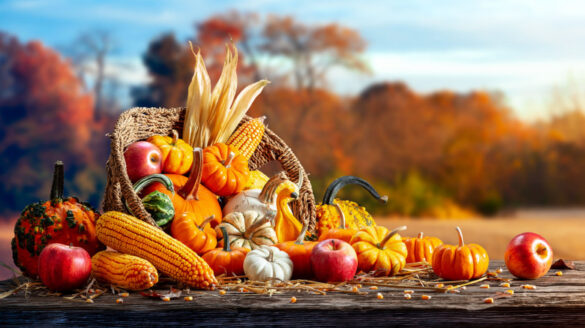 Thanksgiving cornucopia.