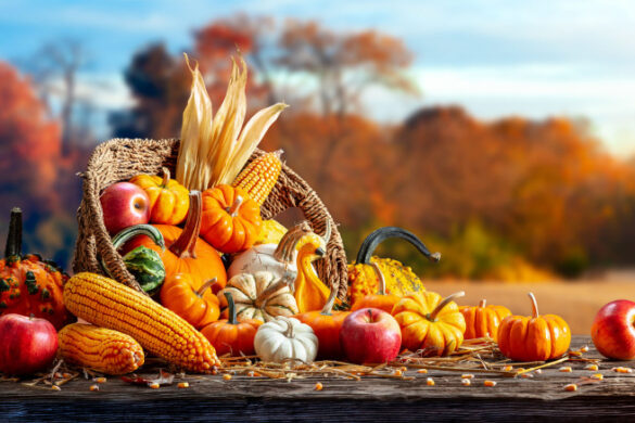 Thanksgiving cornucopia.