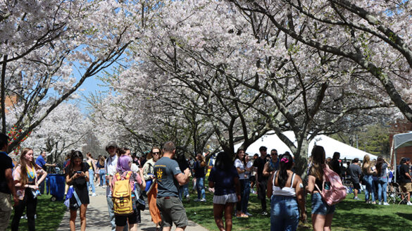 Spring Fling at the Long Island Campus.